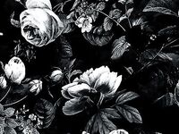 Rosie Onlyfans pictures