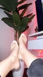 Catwomandulce FEET  Onlyfans pictures
