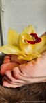 Kathrynne_FeetGoddess Onlyfans pictures