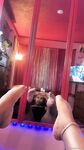WildGirl26 Onlyfans pictures 2