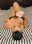 Michelena Rose Onlyfans pictures