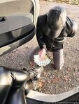 Herrin Lady Sarah Onlyfans pictures 5