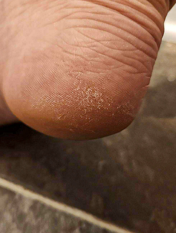 ATasteOfTaboo Onlyfans pictures 2