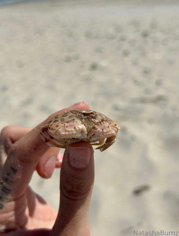 Goddess Tall Tasha Onlyfans pictures 4