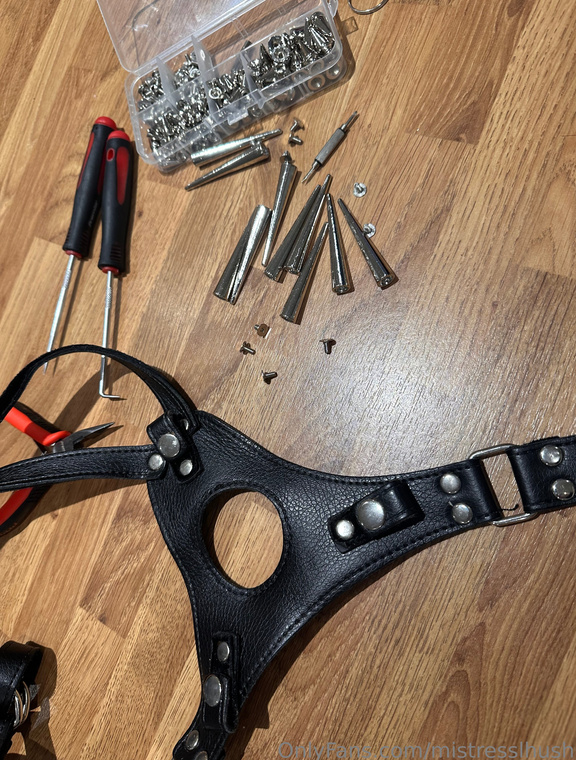 MistressLHush Onlyfans pictures 6